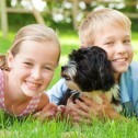 What are the dog breeds that kids love the most