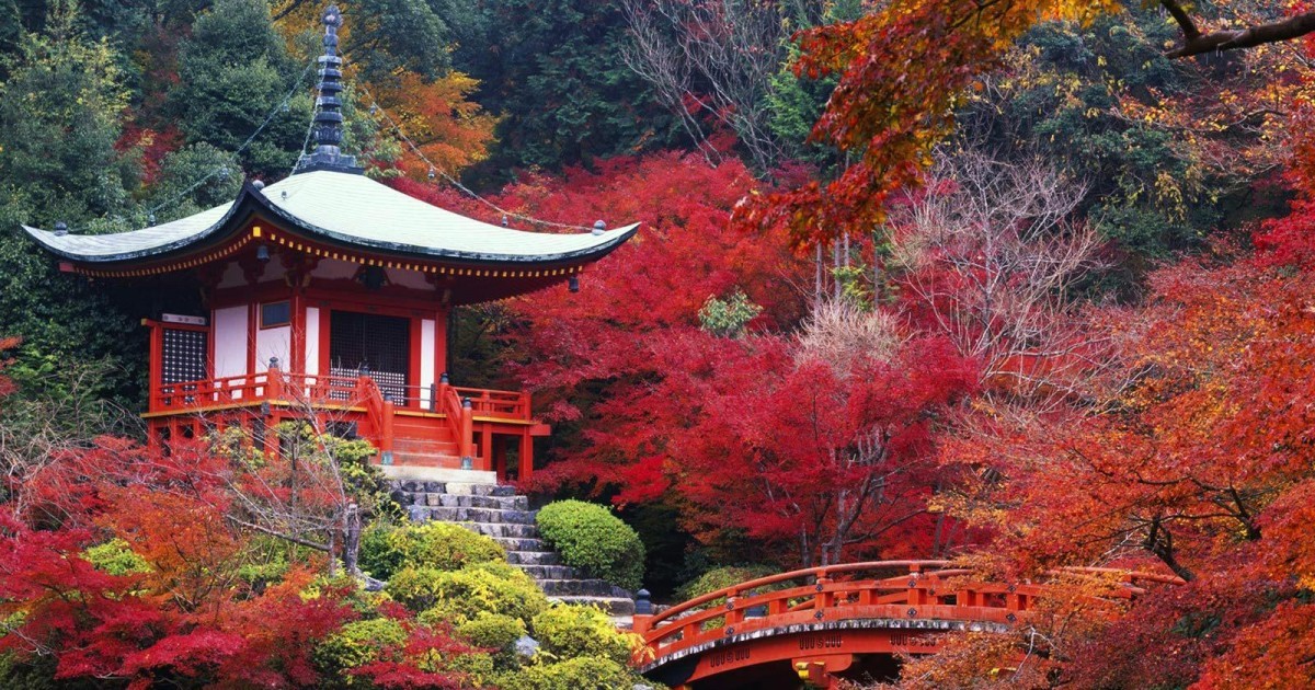 Why you must take a trip to Japan once in your life